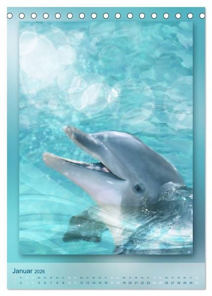 Produktbild: Delfine - Kalender (Tischkalender 2026 DIN A5 hoch), CALVENDO Monatskalender