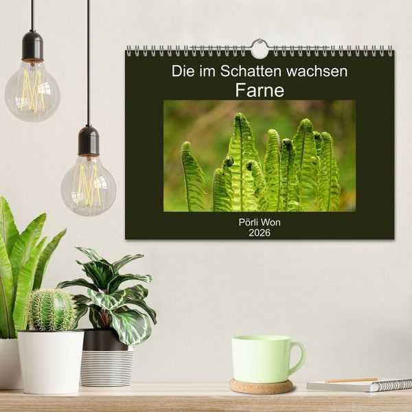 Produktbild: Die im Schatten wachsen - Farne (Wandkalender 2026 DIN A4 quer), CALVENDO Monatskalender