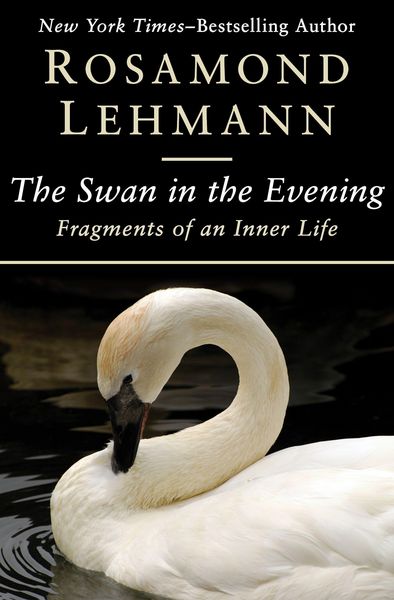 Produktbild: The Swan in the Evening