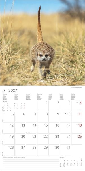 Produktbild: Erdm&auml;nnchen 2027