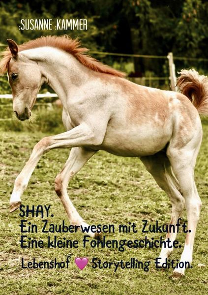 Produktbild: SHAY. Ein Zauberwesen mit Zukunft. Eine kleine Fohlengeschichte.