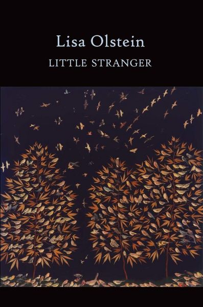 Produktbild: Little Stranger