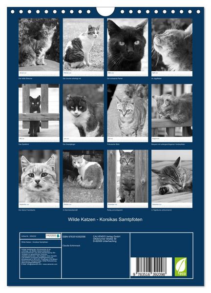 Produktbild: Wilde Katzen - Korsikas Samtpfoten (Wandkalender 2026 DIN A4 hoch), CALVENDO Monatskalender