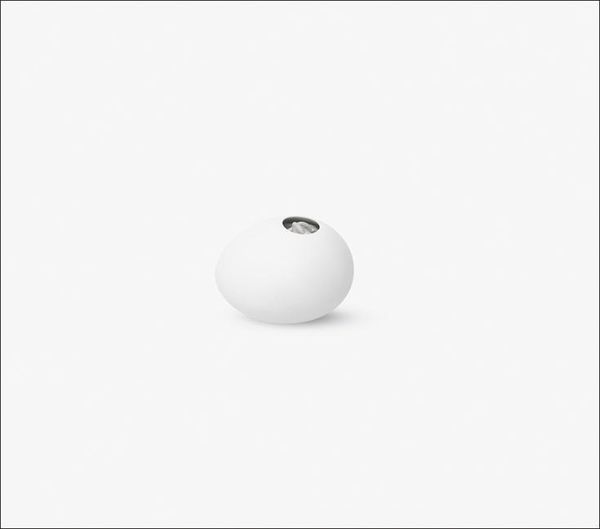 Produktbild: Charles Ray