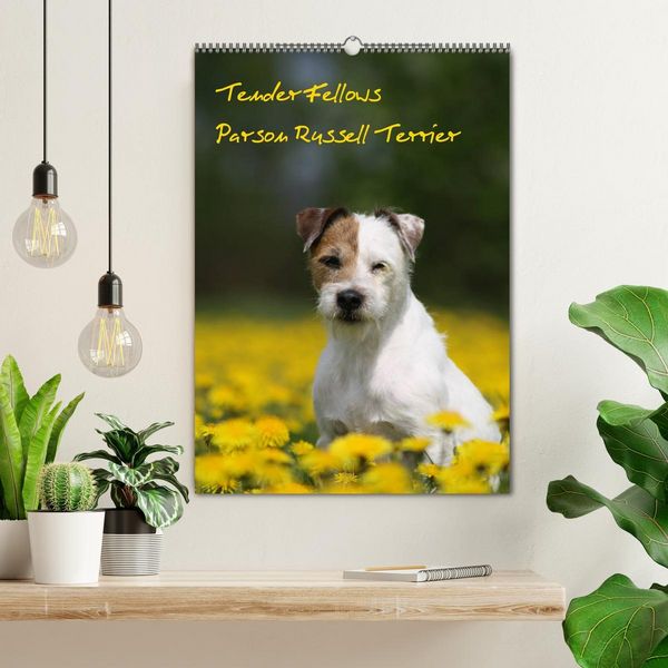 Produktbild: Tender Fellows - Parson Russell Terrier (Wandkalender 2026 DIN A2 hoch), CALVENDO Monatskalender