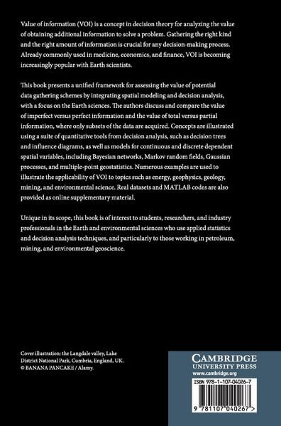 Produktbild: Value of Information in the Earth Sciences