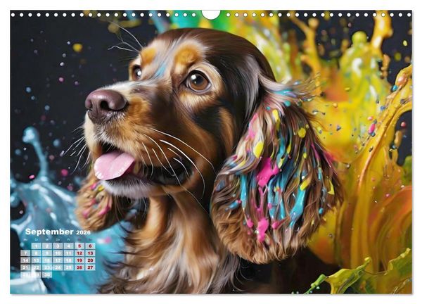 Produktbild: Splash - Hunde im Farbrausch (Wandkalender 2026 DIN A3 quer), CALVENDO Monatskalender