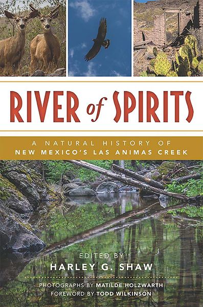 Produktbild: River of Spirits