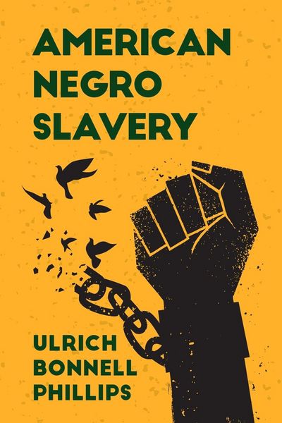 Produktbild: American Negro Slavery