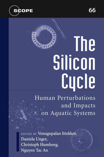 Produktbild: The Silicon Cycle