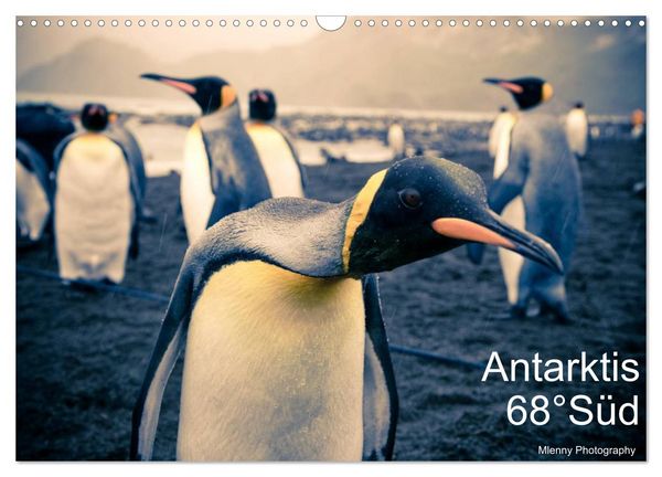 Produktbild: Antarktis 68&deg; S&uuml;d (Wandkalender 2026 DIN A3 quer), CALVENDO Monatskalender
