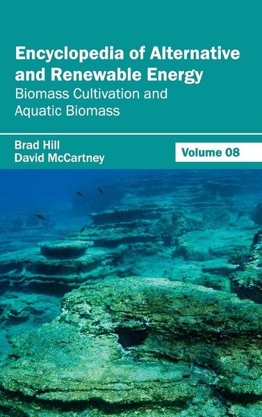 Produktbild: Encyclopedia of Alternative and Renewable Energy