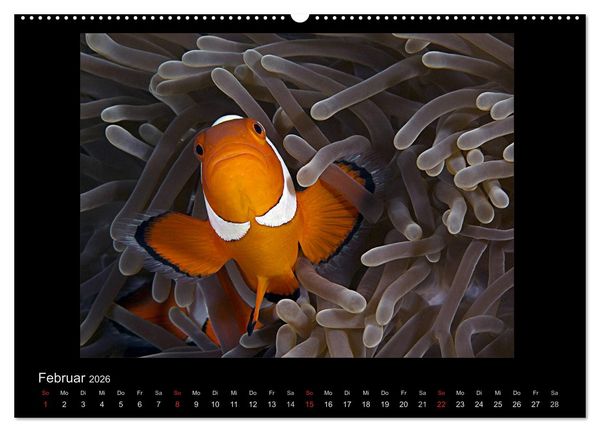Produktbild: OCEAN - ART (hochwertiger Premium Wandkalender 2026 DIN A2 quer), Kunstdruck in Hochglanz