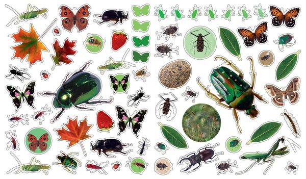 Produktbild: Eyelike Stickers: Bugs