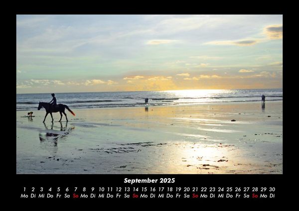 Produktbild: Sehnsucht nach Meer 2025 Fotokalender DIN A3