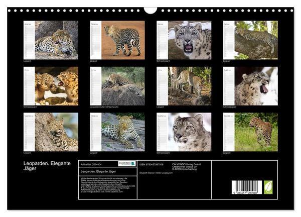 Produktbild: Leoparden. Elegante J&auml;ger (Wandkalender 2026 DIN A3 quer), CALVENDO Monatskalender