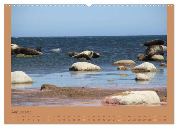 Produktbild: S&uuml;dschweden (hochwertiger Premium Wandkalender 2026 DIN A2 quer), Kunstdruck in Hochglanz