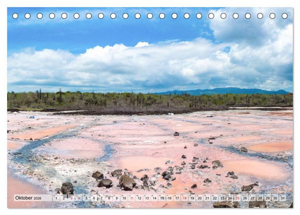 Produktbild: Die Galapagosinseln - Santa Cruz Island (Tischkalender 2026 DIN A5 quer), CALVENDO Monatskalender