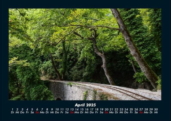 Produktbild: B&auml;ume 2025 Fotokalender DIN A4