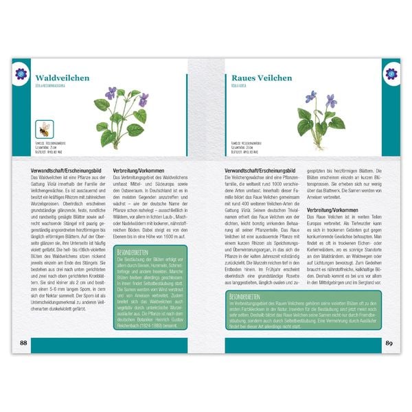 Produktbild: Wildblumen und Kr&auml;uter entdecken und bestimmen