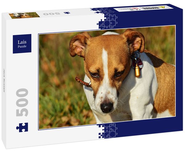 Lais Puzzle Jack Russell 500 Teile