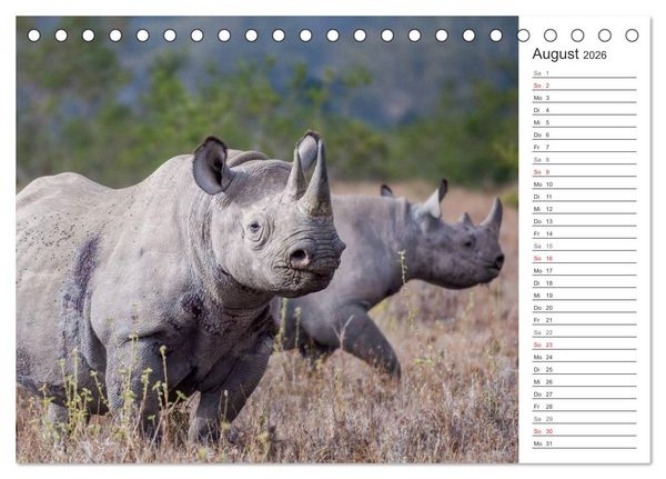 Produktbild: Emotionale Momente: Nash&ouml;rner (Tischkalender 2026 DIN A5 quer), CALVENDO Monatskalender