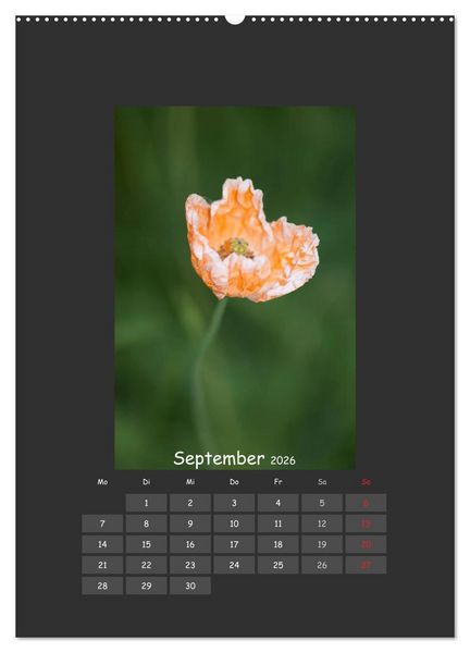 Produktbild: Mohn (Wandkalender 2026 DIN A2 hoch), CALVENDO Monatskalender
