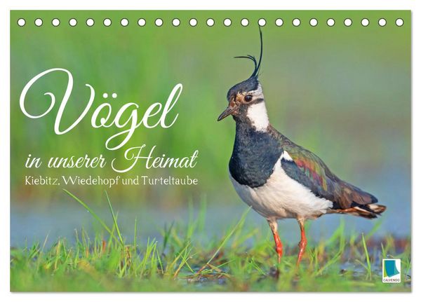Produktbild: V&ouml;gel in unserer Heimat: Kiebitz, Wiedehopf und Turteltaube (Tischkalender 2026 DIN A5 quer), CALVENDO Monatskalender