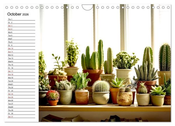 Produktbild: Cacti Wonderland (Wall Calendar 2026 DIN A4 landscape), CALVENDO 12 Month Wall Calendar