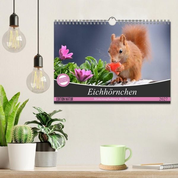 Produktbild: Eichh&ouml;rnchen Momentaufnahmen f&uuml;rs Herz (Wandkalender 2027 DIN A4 quer), CALVENDO Monatskalender