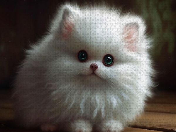 Produktbild: CALVENDO Puzzle Ein Motiv aus dem Kalender Zauberhafte Fluffies | 1000 Teile Lege-Gr&ouml;&szlig;e 64x48cm Foto-Puzzle f&uuml;r gl&uuml;ckliche Stunden