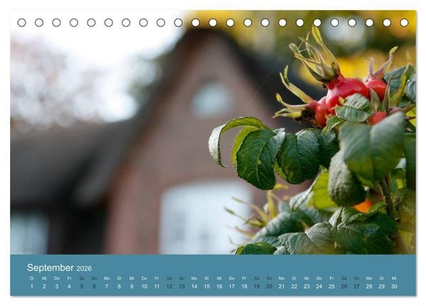Produktbild: F&ouml;hr 2026. Portr&auml;t einer Insel (Tischkalender 2026 DIN A5 quer), CALVENDO Monatskalender
