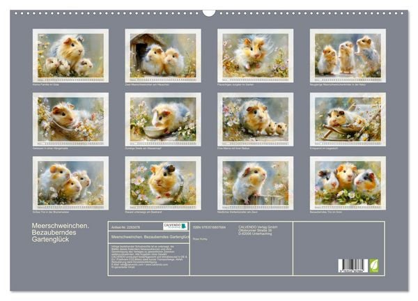 Produktbild: Meerschweinchen. Bezauberndes Gartengl&uuml;ck (Wandkalender 2027 DIN A2 quer), CALVENDO Monatskalender