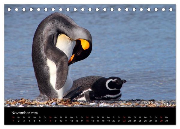 Produktbild: S&uuml;dpatagonien &ndash; das "Ende" der Welt (Tischkalender 2026 DIN A5 quer), CALVENDO Monatskalender