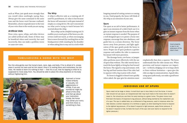 Produktbild: Storey's Guide to Training Horses, 3rd Edition