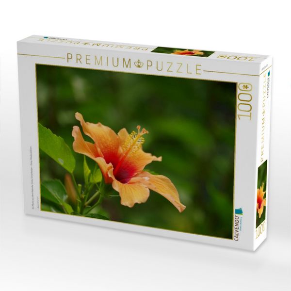 Produktbild: CALVENDO Puzzle Ein Motiv aus dem Kalender Zarte Sch&ouml;nheiten - Feine Hibiskusbl&uuml;ten | 1000 Teile Lege-Gr&ouml;&szlig;e 64x48cm Foto-Puzzle f&uuml;r gl&uuml;ckliche Stunden