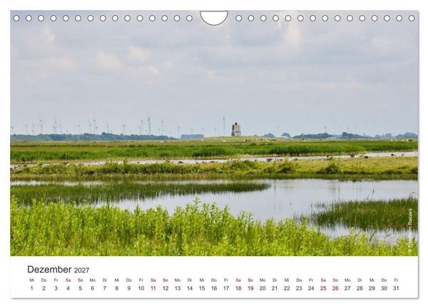 Produktbild: Halbinsel Eiderstedt - Momente der Natur (Wandkalender 2027 DIN A4 quer), CALVENDO Monatskalender