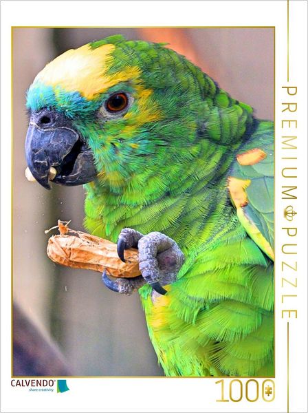 CALVENDO Puzzle Blaustirnamazone knabbert eine Erdnuss | 1000 Teile Lege-Größe 64x48cm Foto-Puzzle für glückliche Stunden