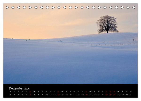 Produktbild: B&auml;ume (Tischkalender 2026 DIN A5 quer), CALVENDO Monatskalender