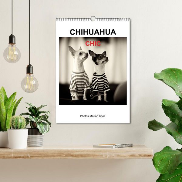 Produktbild: CHIHUAHUA CHIC Photos Marion Koell (Wandkalender 2026 DIN A3 hoch), CALVENDO Monatskalender