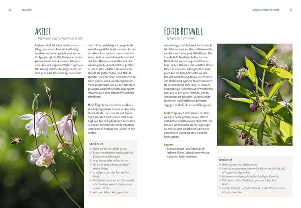Produktbild: Heimische Pflanzen f&uuml;r den Garten