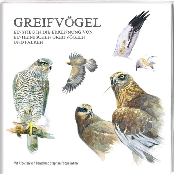 Greifvögel