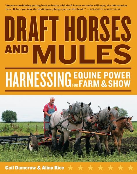 Produktbild: Draft Horses and Mules