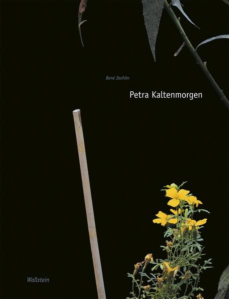 Produktbild: Petra Kaltenmorgen