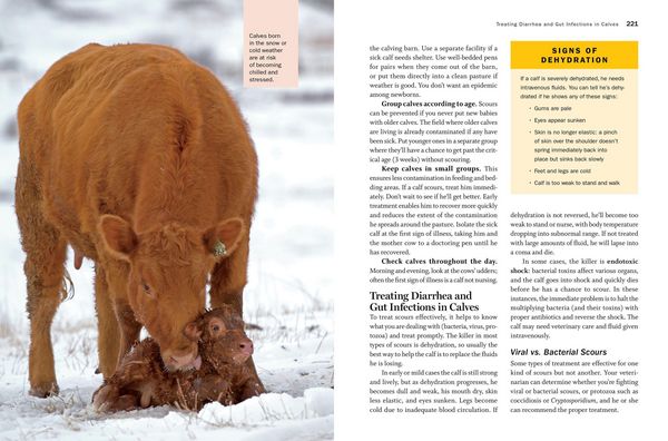 Produktbild: Storey's Guide to Raising Beef Cattle, 4th Edition