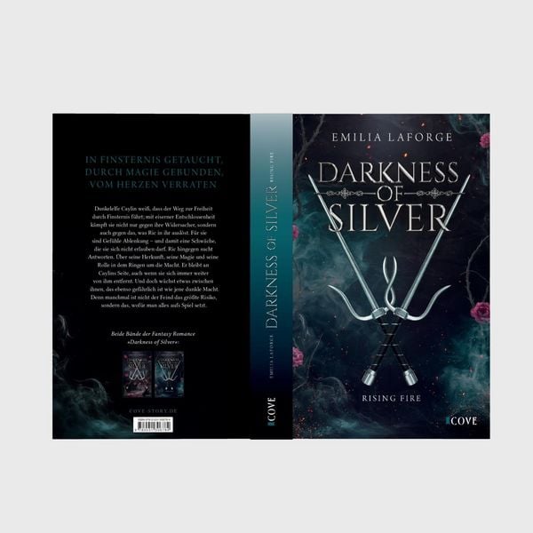 Produktbild: Darkness of Silver 2: Rising Fire