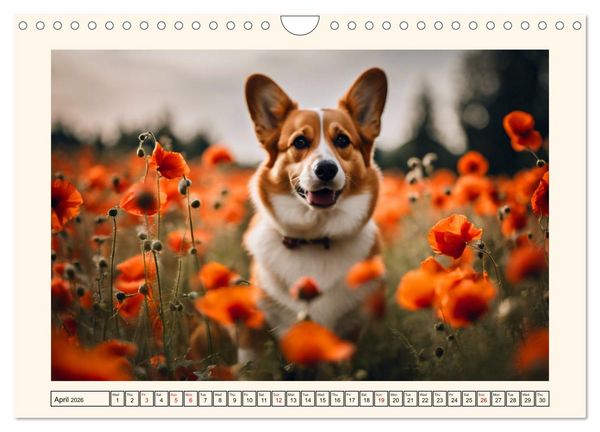 Produktbild: Welsh Corgi Pembroke (Wall Calendar 2026 DIN A4 landscape), CALVENDO 12 Month Wall Calendar