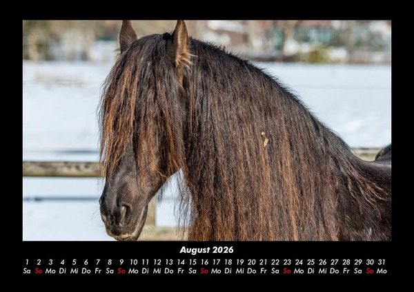 Produktbild: Pferdetraum 2026 Fotokalender DIN A3