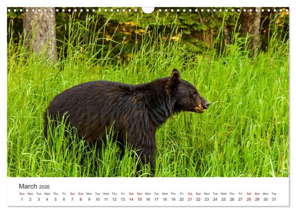 Produktbild: Yukon Wild (Wall Calendar 2026 DIN A3 landscape), CALVENDO 12 Month Wall Calendar