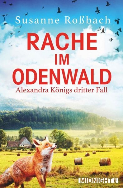 Produktbild: Rache im Odenwald